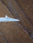  MG 0242 Axalp 2022-3