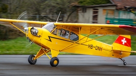  MG 0031 FlyIn Blecherette