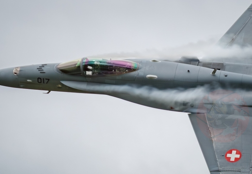 Swiss hornet display team 