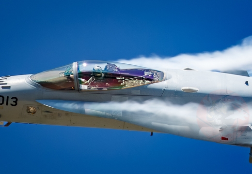 Swiss hornet display team 