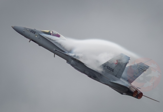 Swiss Hornet display team 