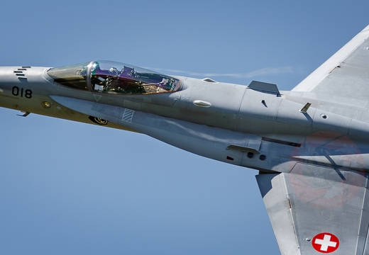 Swiss hornet solo display 