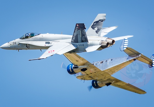 Swiss Hornet display team 