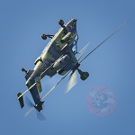  MG 0689 Zigairmeet