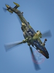  MG 0702 Zigairmeet