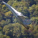 MG 0813 Zigairmeet