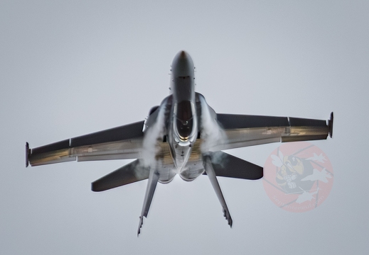 Swiss Hornet solo display team 