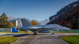  MG 0334