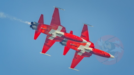  MG 0049