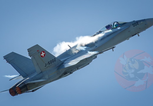 Swiss Hornet solo display team 