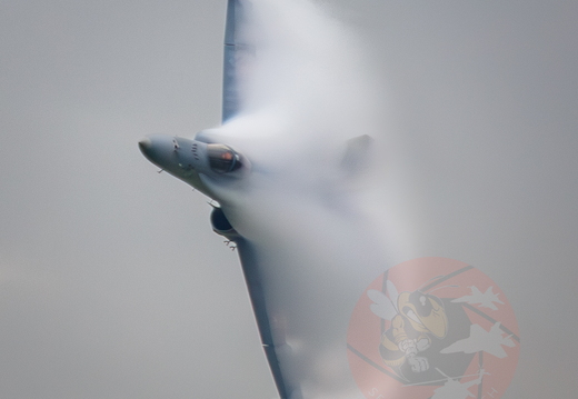 Swiss Hornet solo display team 