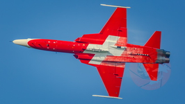  MG 0256