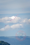  MG 5252 PC7 Team Morat